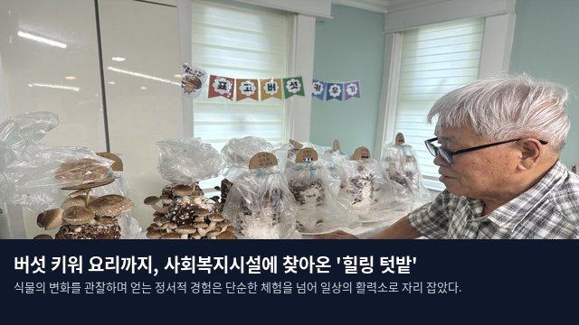 버섯 키워 요리까지, 사회복지시설에 찾아온 '힐링 텃밭'