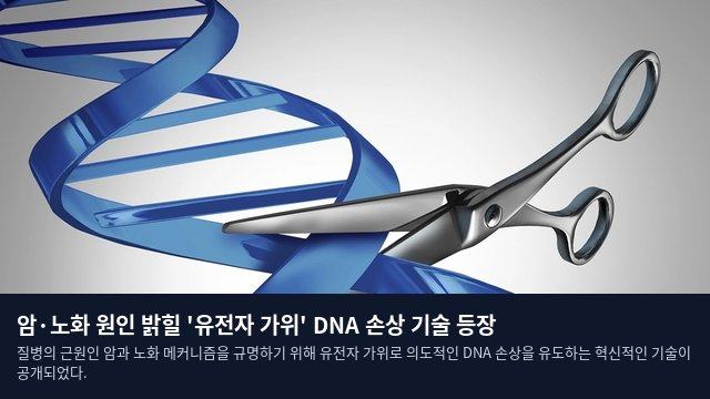 암·노화 원인 밝힐 '유전자 가위' DNA 손상 기술 등장