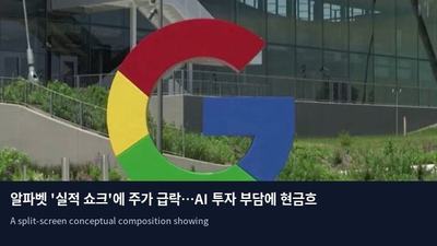 알파벳 '실적 쇼크'에 주가 급락…AI 투자 부담에 현금흐름 악화