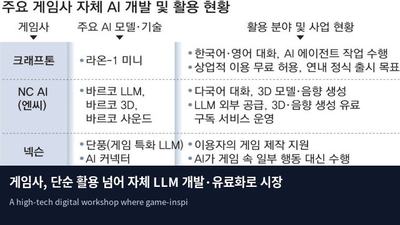 게임사, 단순 활용 넘어 자체 LLM 개발·유료화로 시장 공략
