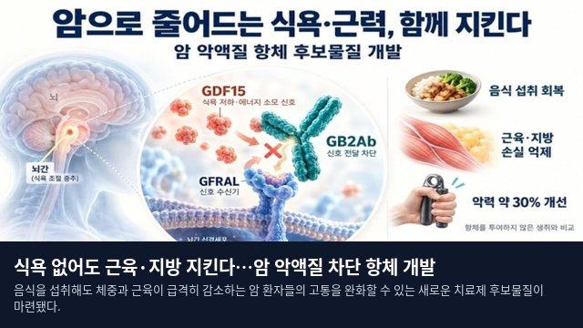 식욕 없어도 근육·지방 지킨다…암 악액질 차단 항체 개발