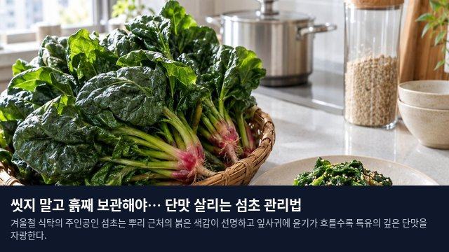 씻지 말고 흙째 보관해야… 단맛 살리는 섬초 관리법
