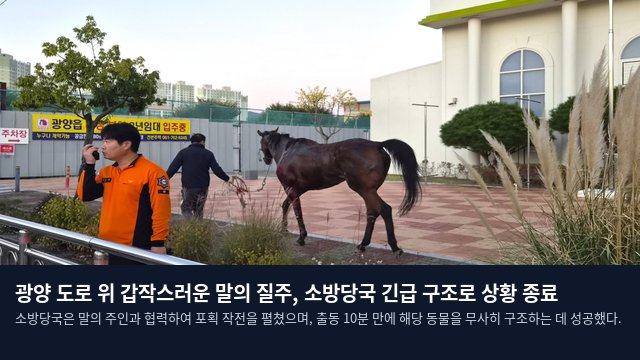 광양 도로 위 갑작스러운 말의 질주, 소방당국 긴급 구조로 상황 종료