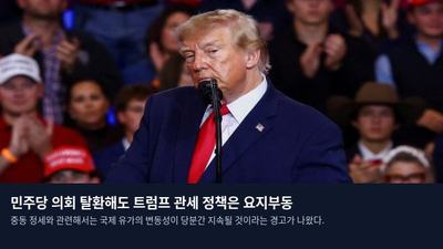 민주당 의회 탈환해도 트럼프 관세 정책은 요지부동