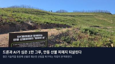 드론과 AI가 심은 1만 그루, 안동 산불 피해지 되살린다