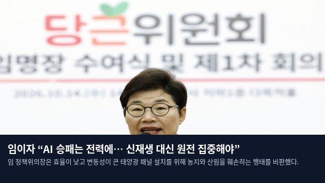 임이자 “AI 승패는 전력에… 신재생 대신 원전 집중해야”