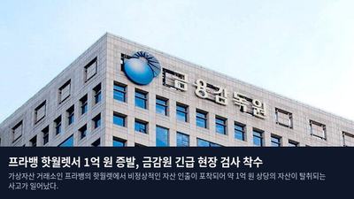 프라뱅 핫월렛서 1억 원 증발, 금감원 긴급 현장 검사 착수