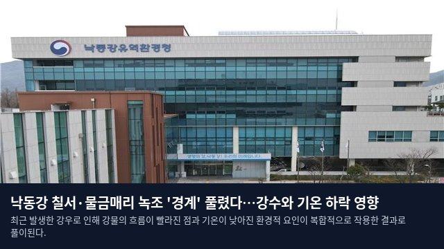 낙동강 칠서·물금매리 녹조 '경계' 풀렸다…강수와 기온 하락 영향