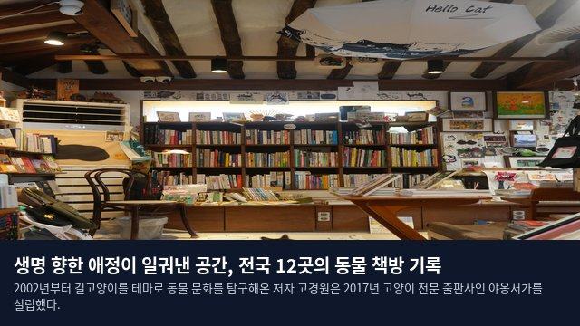생명 향한 애정이 일궈낸 공간, 전국 12곳의 동물 책방 기록
