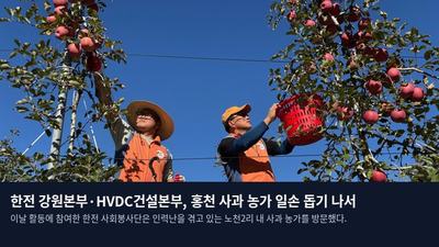 한전 강원본부·HVDC건설본부, 홍천 사과 농가 일손 돕기 나서