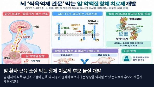 암 환자 근육 소실 막는 항체 치료제 후보 물질 개발