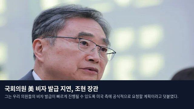 국회의원 美 비자 발급 지연, 조현 장관