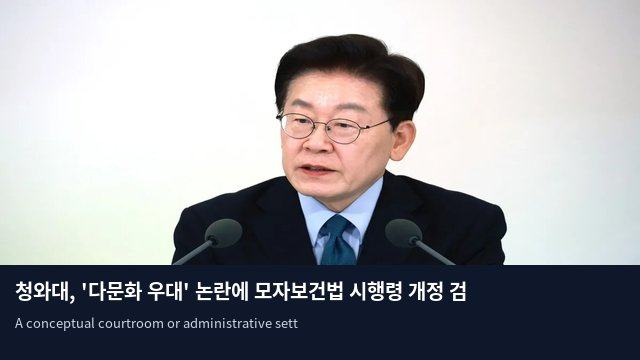 청와대, '다문화 우대' 논란에 모자보건법 시행령 개정 검토