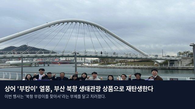 상어 '부캉이' 열풍, 부산 북항 생태관광 상품으로 재탄생한다
이번 행사는 '북항 부캉이를 찾아서'라는 부제를 달고 치러졌다.