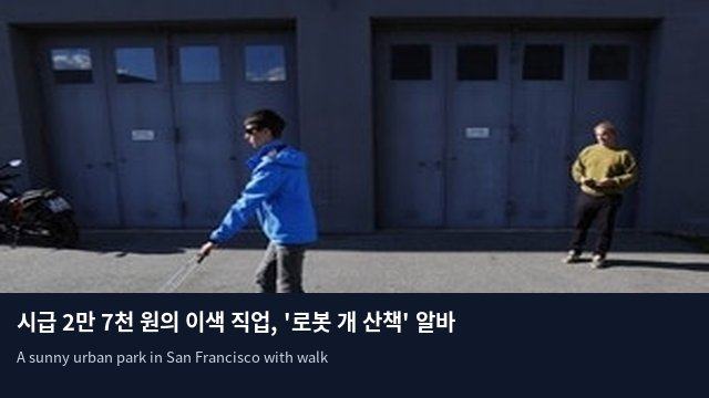 시급 2만 7천 원의 이색 직업, '로봇 개 산책' 알바 등장