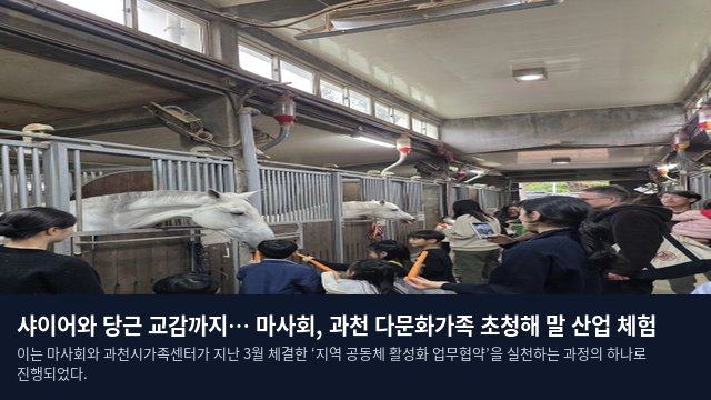 샤이어와 당근 교감까지… 마사회, 과천 다문화가족 초청해 말 산업 체험