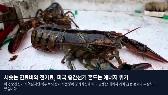 치솟는 연료비와 전기료, 미국 중간선거 흔드는 에너지 위기