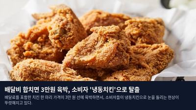 배달비 합치면 3만원 육박, 소비자 '냉동치킨'으로 탈출