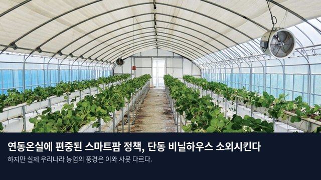 연동온실에 편중된 스마트팜 정책, 단동 비닐하우스 소외시킨다