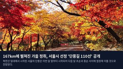 167km에 펼쳐진 가을 정취, 서울시 선정 '단풍길 110선' 공개
