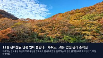 11월 천아숲길 단풍 인파 몰린다…제주도, 교통·안전 관리 총력전