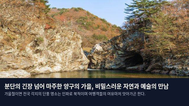 분단의 긴장 넘어 마주한 양구의 가을, 비밀스러운 자연과 예술의 만남