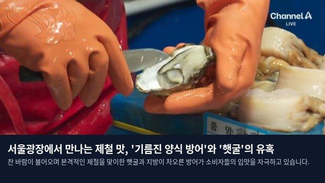 서울광장에서 만나는 제철 맛, '기름진 양식 방어'와 '햇굴'의 유혹