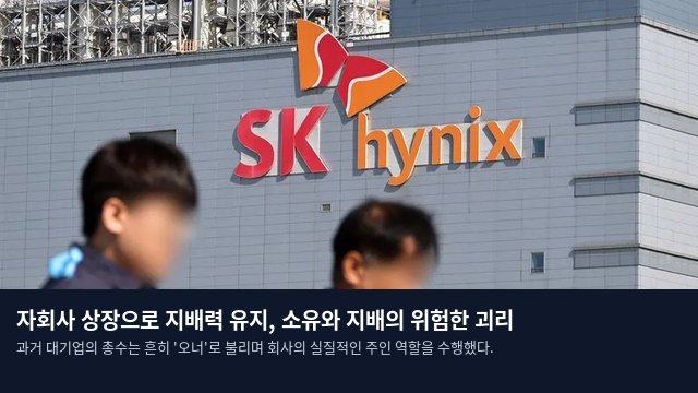 자회사 상장으로 지배력 유지, 소유와 지배의 위험한 괴리